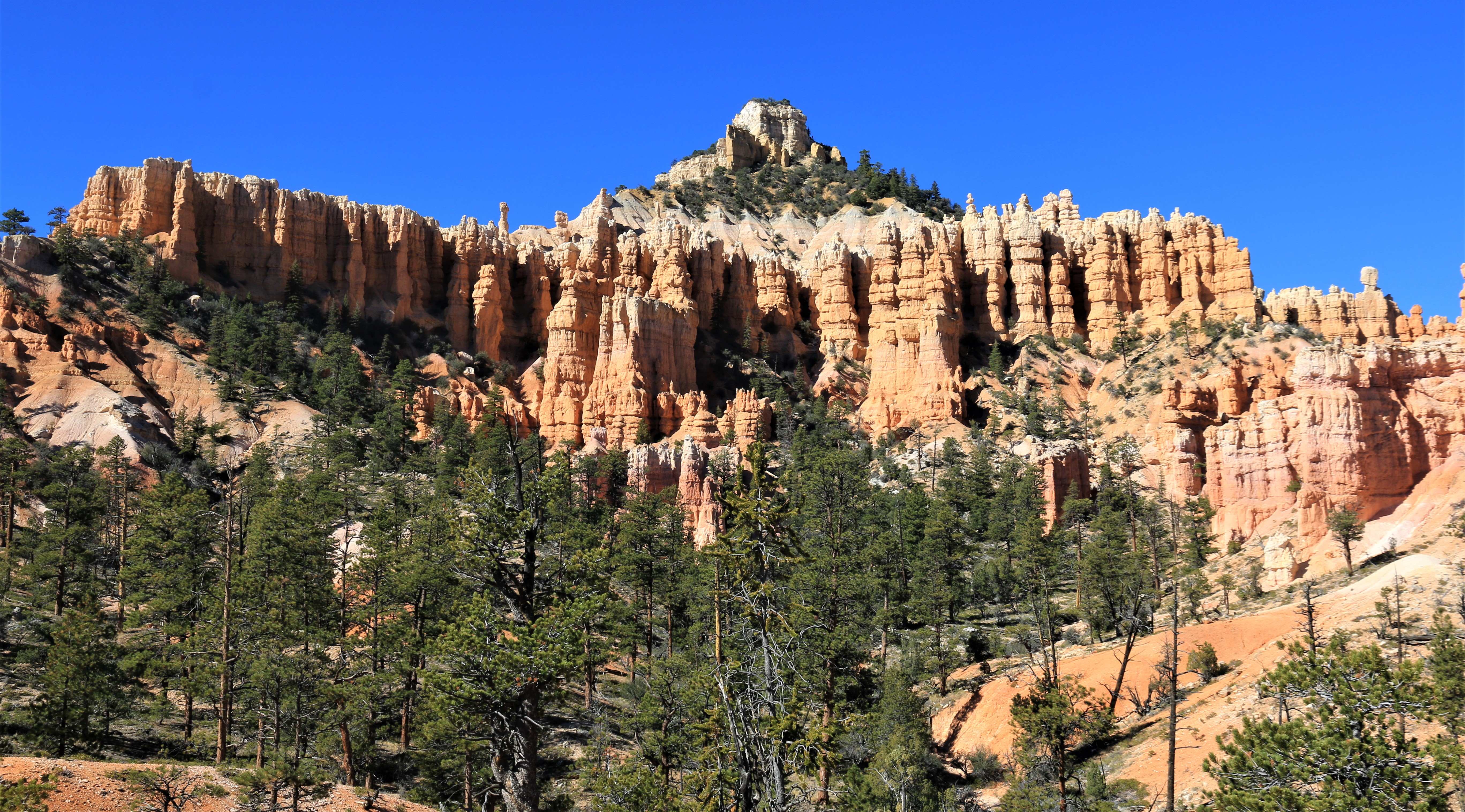 Bryce Canyon NP